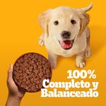 Alimento-Humedo-Perro-Pedigree-Cachorro-Res-100G-7-13894