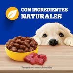 Alimento-Humedo-Perro-Pedigree-Cachorro-Res-100G-8-13894