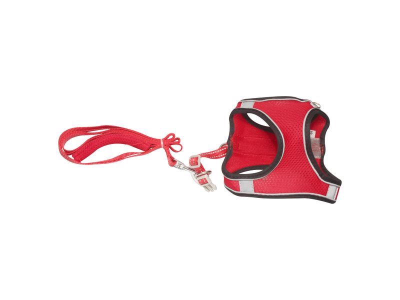 Arnes-Galaxy-Chucho-Multicolor-Mlitalla-2-39104