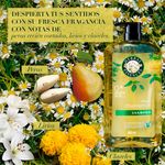 Herbal-Essences-Sh-Shine-Chamomile-865Ml-Shampo-Herbal-Essences-Shine-Chamomile-865ml-5-28422