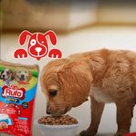 Alimento-Perro-Rufo-Pro-Cachorro-4000-Gr-5-47434