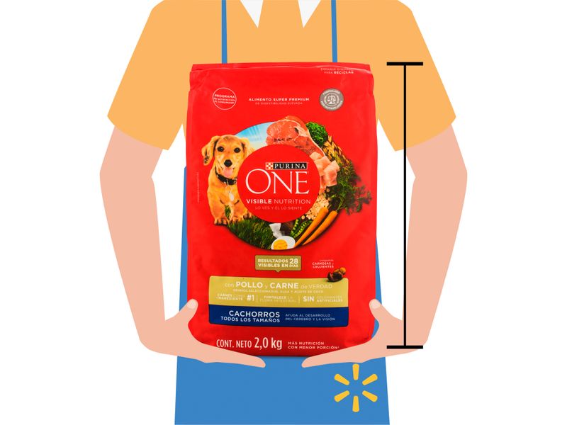 Alim-Sup-Prem-Purina-One-Pol-Car-2Kg-Alim-Sup-Prem-Purina-One-Pol-Car-2kg-3-49410