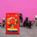 Alim-Sup-Prem-Purina-One-Pol-Car-2Kg-Alim-Sup-Prem-Purina-One-Pol-Car-2kg-6-49410