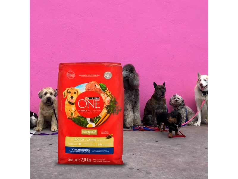 Alim-Sup-Prem-Purina-One-Pol-Car-2Kg-Alim-Sup-Prem-Purina-One-Pol-Car-2kg-6-49410