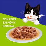 Alim-Hum-Felix-Atun-Salmon-Sardin-85Gr-Alim-Hum-Felix-Atun-Salmon-Sardin-85-G-4-49406