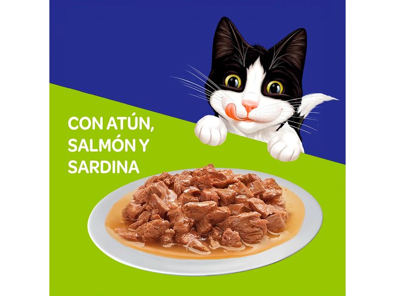 Alim-Hum-Felix-Atun-Salmon-Sardin-85Gr-Alim-Hum-Felix-Atun-Salmon-Sardin-85-G-4-49406