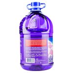 Desinfectante-Lavanda-5Lt-Desinfectante-Lavanda-5lt-3-49235