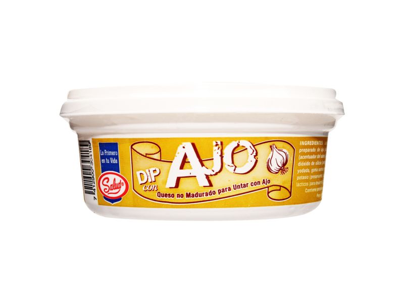 Dip-Salud-Sabor-Ajo-Tarro-210-G-Dip-Salud-Sabor-Ajo-Tarro-210G-1-28240