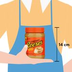 Reeses-Mantequilla-Mani-510Gr-3-47375