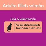 Whiskas-Pouch-Gato-Salmon-85Gr-4-43813