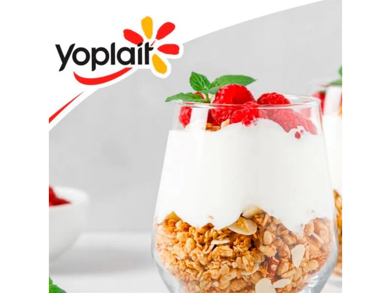 Yoplait-Yogurt-Batido-Light-500G-6-49859