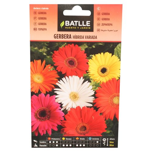 Batlle Gerbera Hibrida Sobre 0.2 g