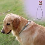 Collar-Metalico-Ol-Roy-Para-Perro-Talla-M-4-25374