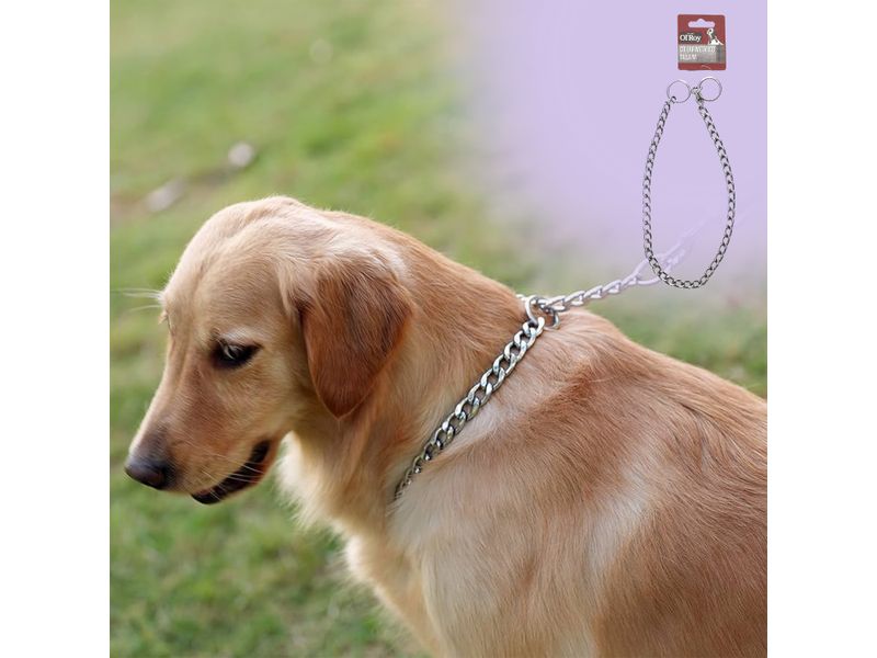 Collar-Metalico-Ol-Roy-Para-Perro-Talla-M-4-25374