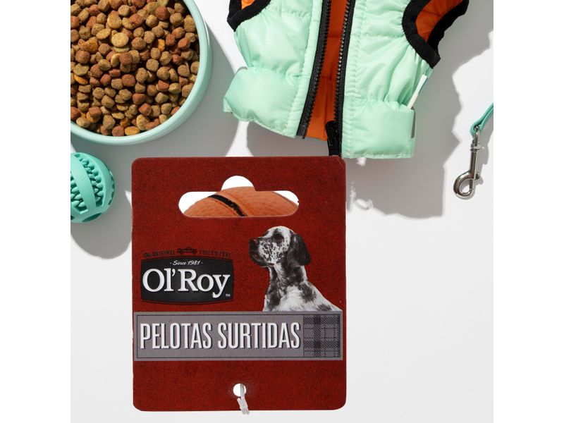 Pelotas-Ol-Roy-Surtidas-Para-Perro-5-25393