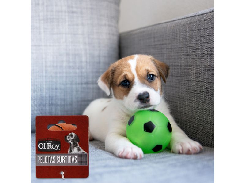 Pelotas-Ol-Roy-Surtidas-Para-Perro-6-25393