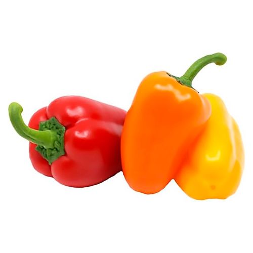 Mini Bell Pepper Paq