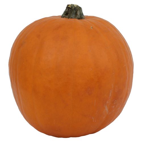 Calabaza Importada 454 G