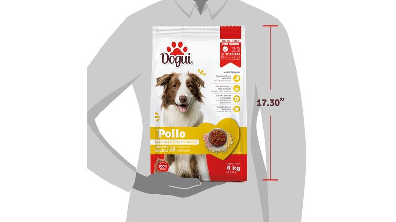 Comprar Alimento Dogui Perro Adulto Sabor Pollo Razas Medianas Y Grandes 18 Meses En Adelante 4kg Walmart Salvador