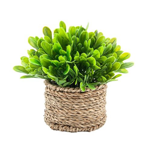 Planta Mainstays artificial - 15 cm