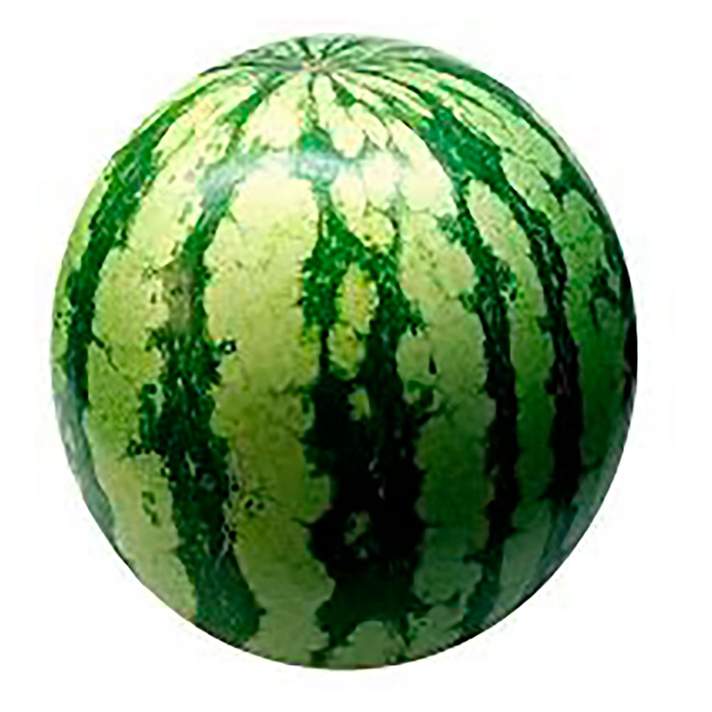 82361_01.jpg