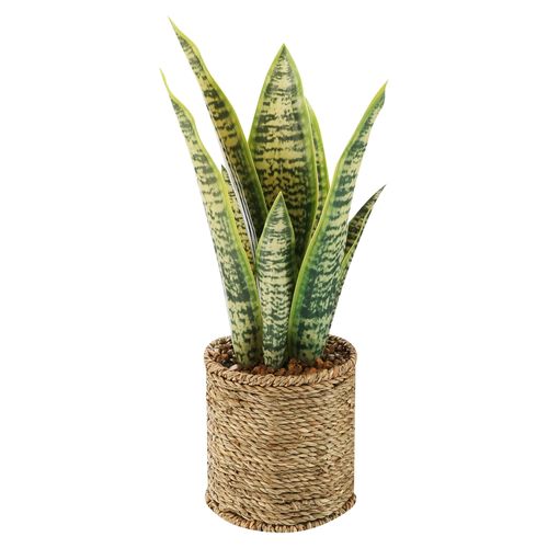 Planta Mainstays artificial - 36 cm