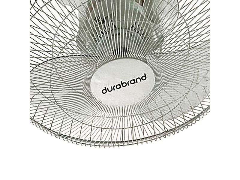 47904_02.jpg