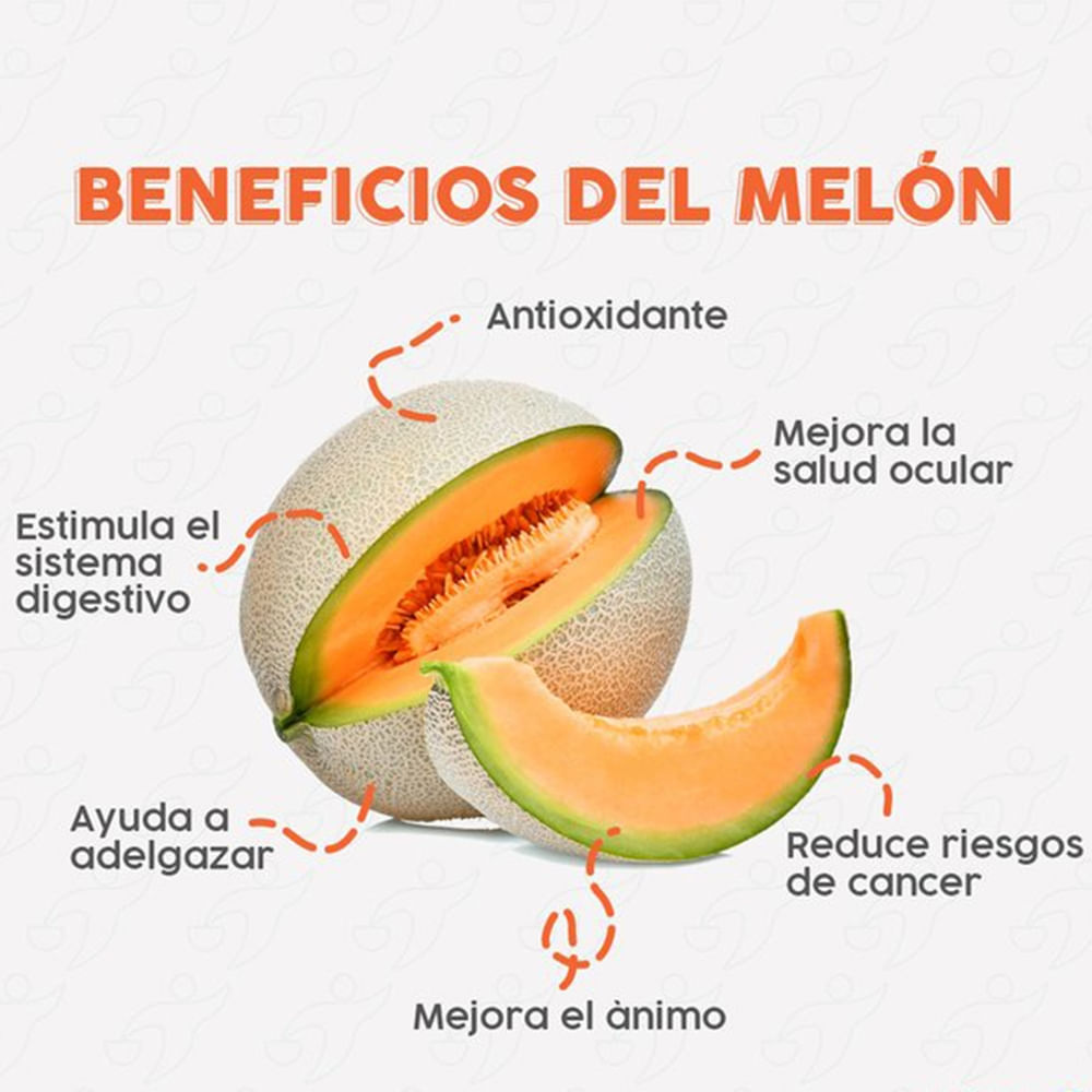 Melón Hortifruti cantaloupe - Precio indicado por kg - Maxi
