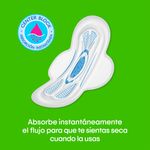 41708_02.jpg