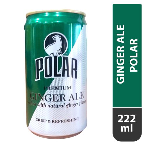 Bebida Polar Ginger Ale - 222 ml