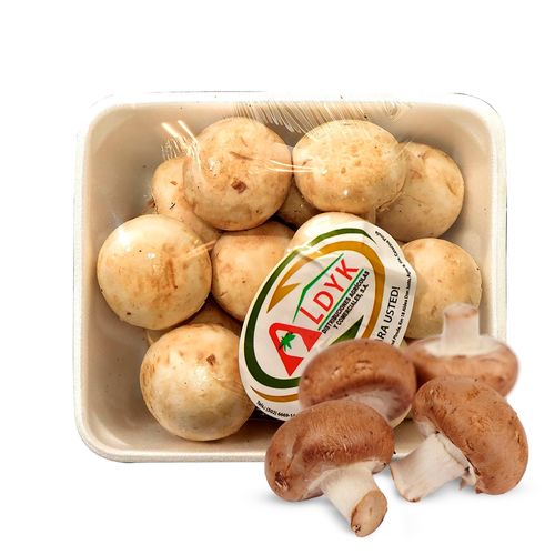 Hongos Entero Zetas Bandeja Media Libra