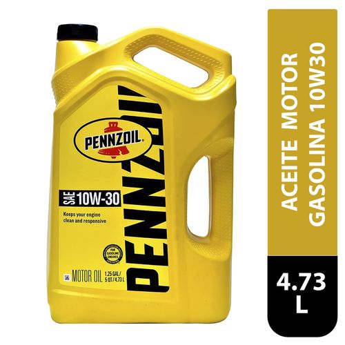 Aceite Pnz P Motore Gasolina 10W30 3 5 1