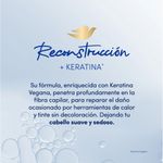 78095_04.jpg