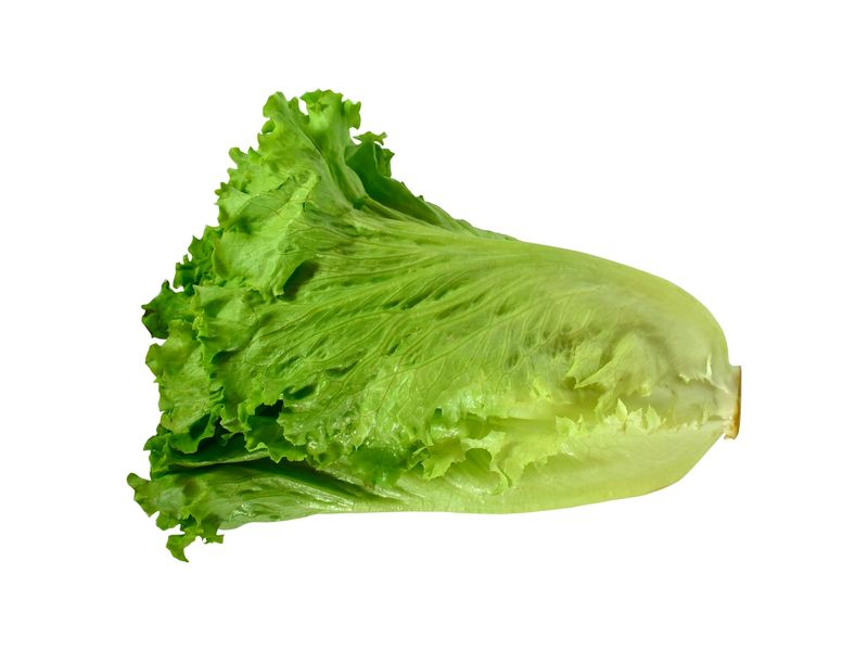 86002_01.jpg