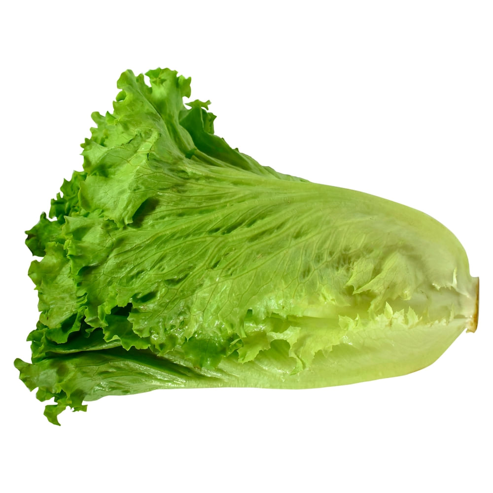 86002_01.jpg