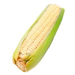 40204_02.jpg