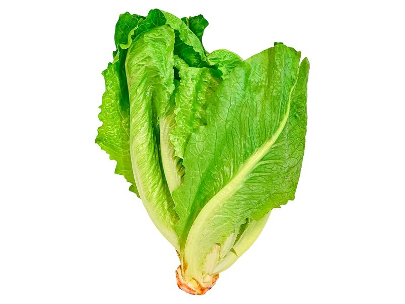 42400_01.jpg