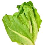 42400_02.jpg