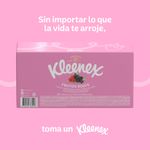 73639_05.jpg