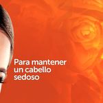 52009_04.jpg