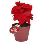 GTIN-6945926382646-01