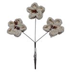 GTIN-0632971692689-06