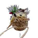 GTIN-0632971692771-03