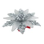 GTIN-0632971702975-02