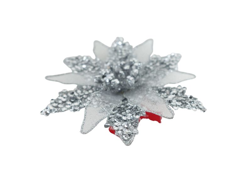 GTIN-0632971702975-03