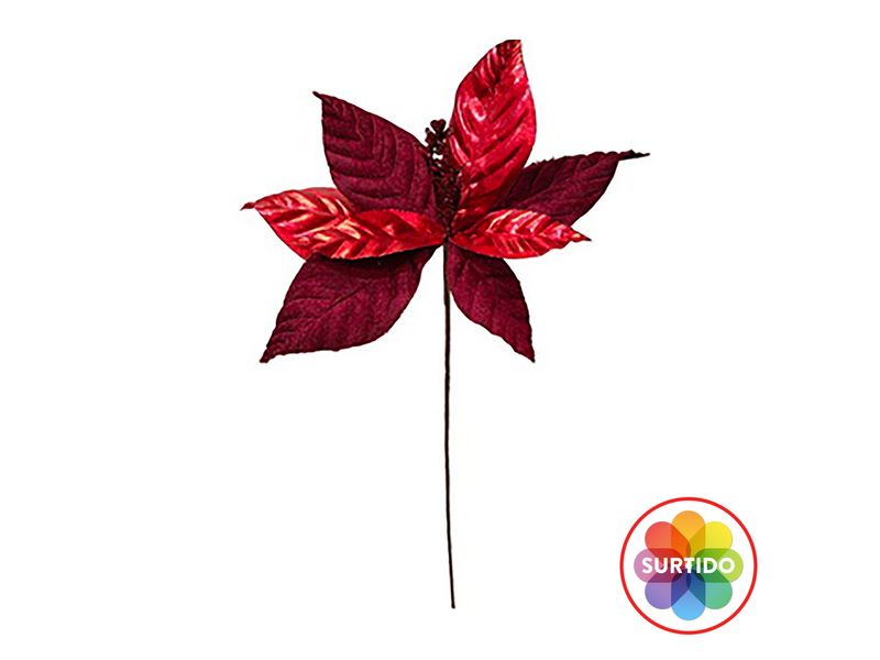 GTIN-4894921043958-01