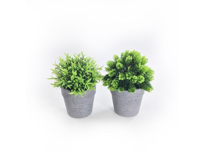 GTIN-6974221246452-04