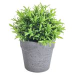 GTIN-6974221246452-05