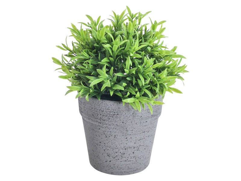 GTIN-6974221246452-05