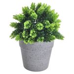 GTIN-6974221246452-06